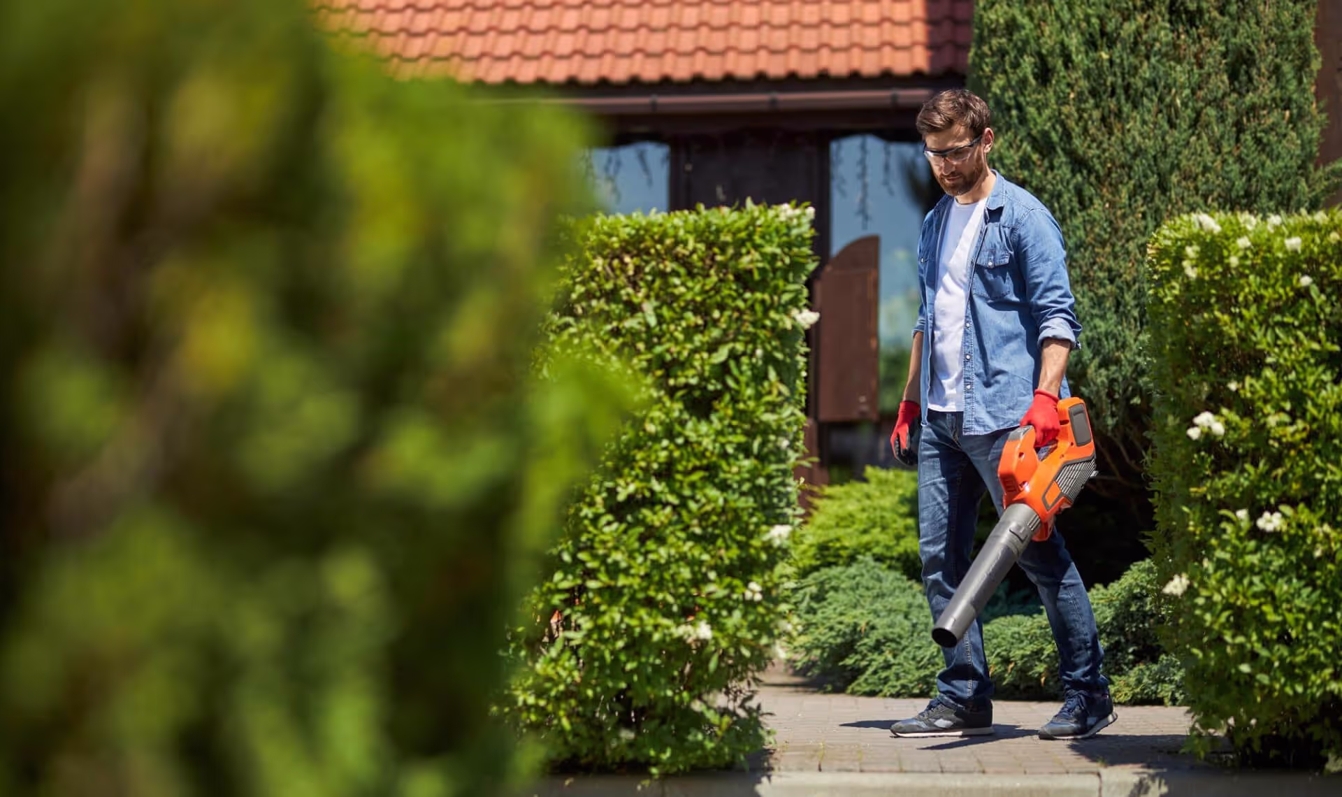 a man removes leaves