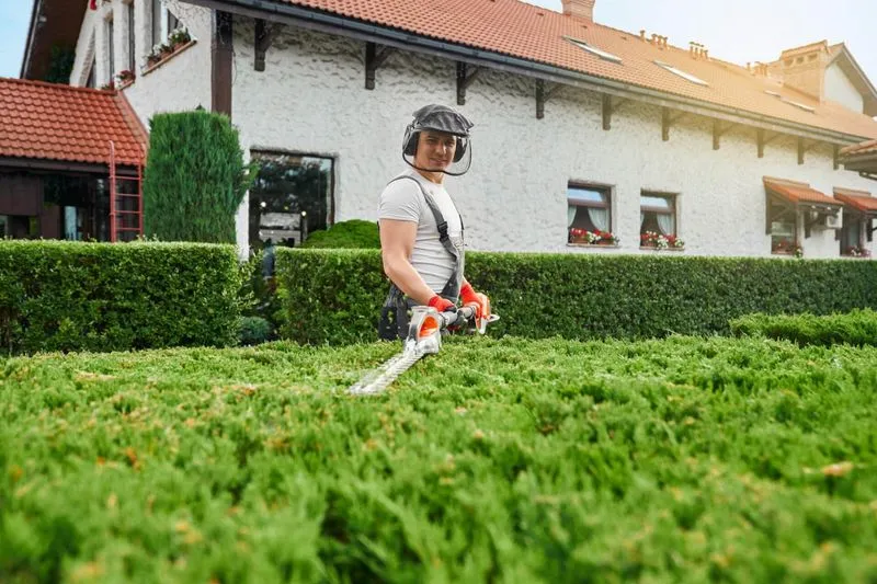 A man cuts bushes